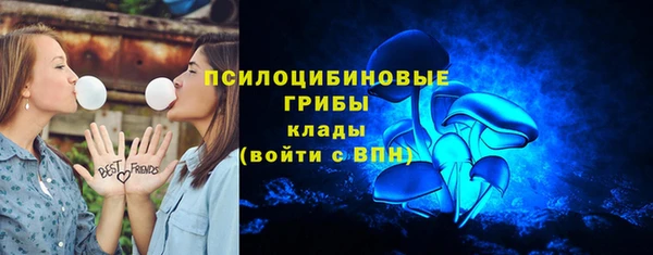 МДПВ Абинск